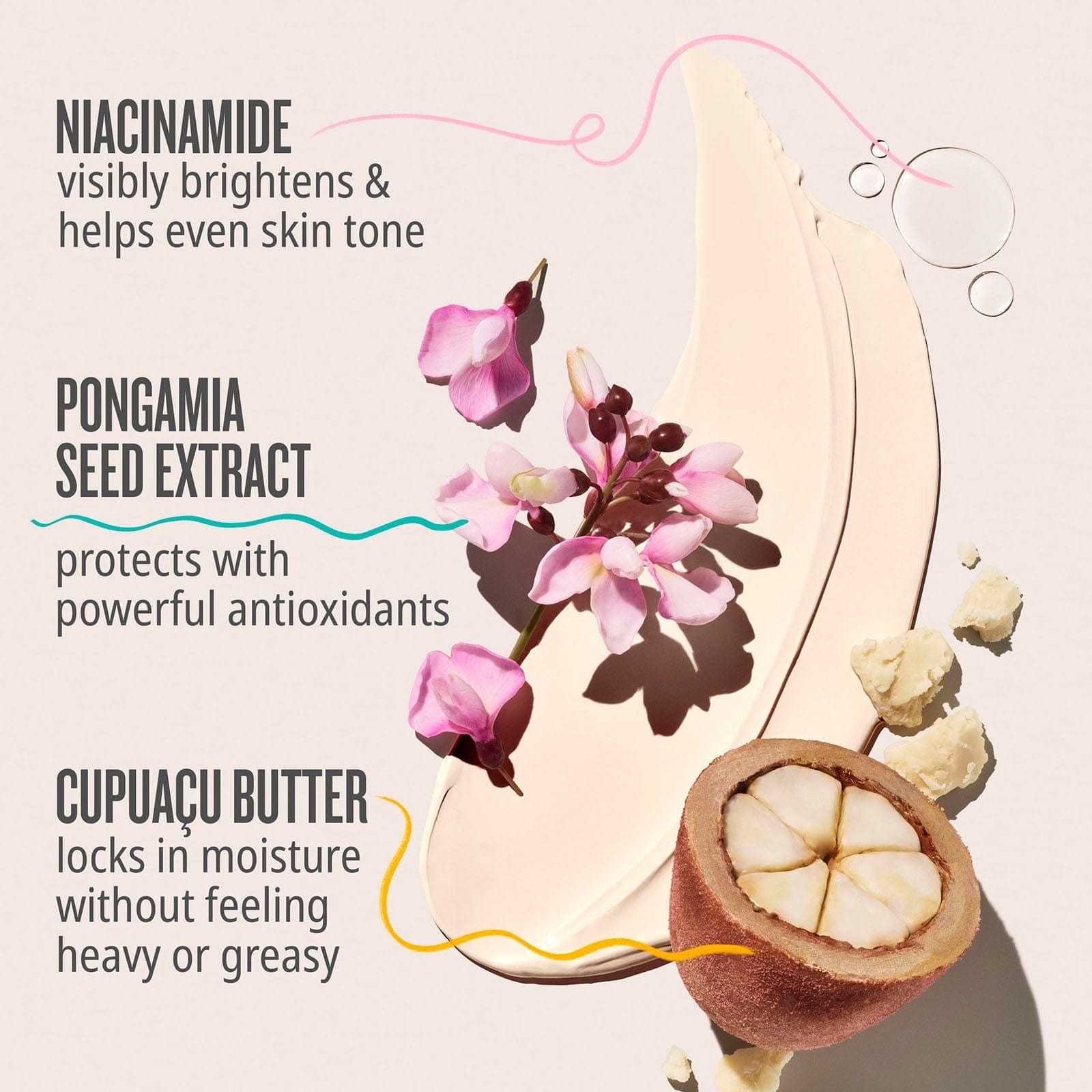 Niacinamide - visibly brightens &amp; helps even skin tone. Pongamia seed extract - protects with powerful antioxidants, cupuacu butter - locks in moisture without feeling heavy or greasy