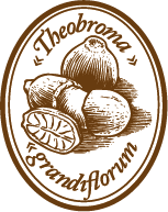 Crushed Cupuaçu Seeds