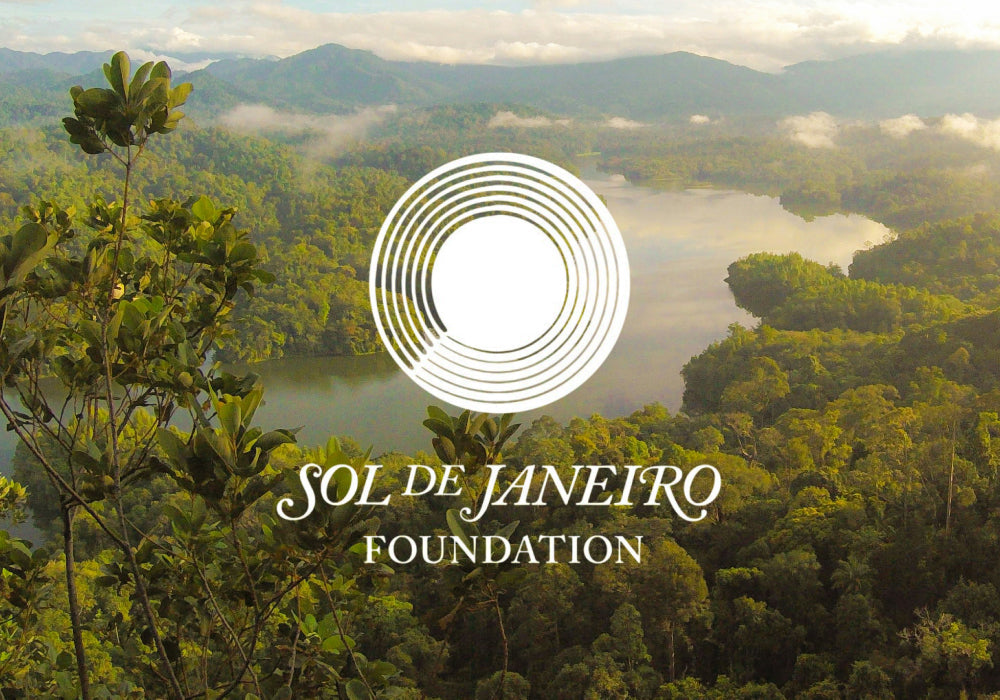 sol de janeiro foundation