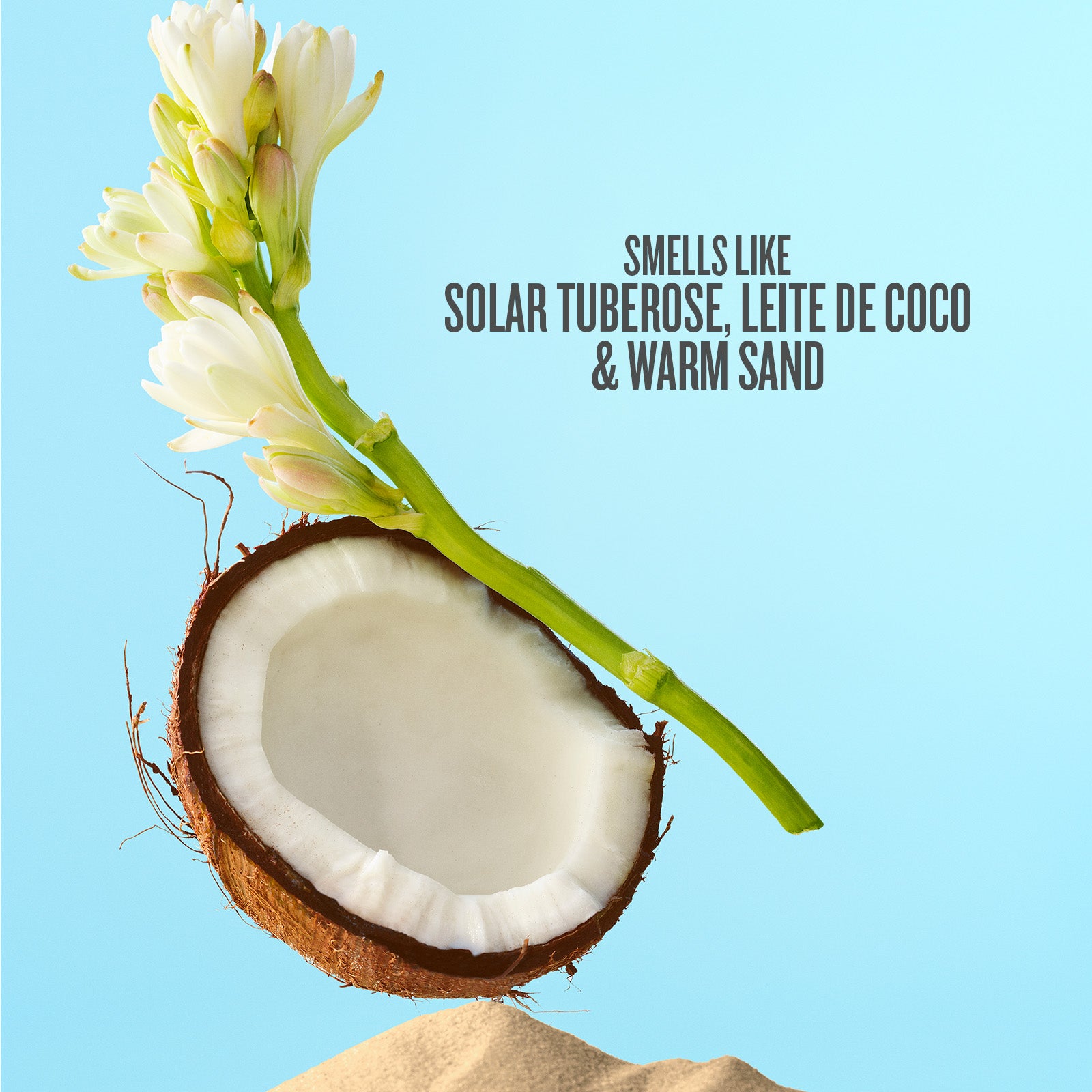 Coconut half with a flower on a blue background, labeled with fragrance notes.