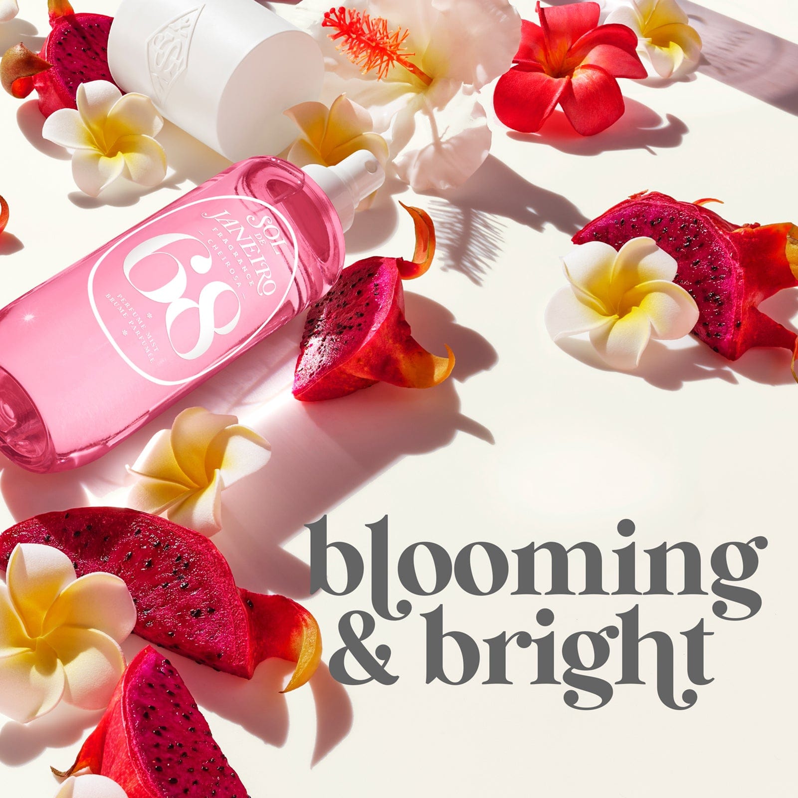 Blooming &amp; bright