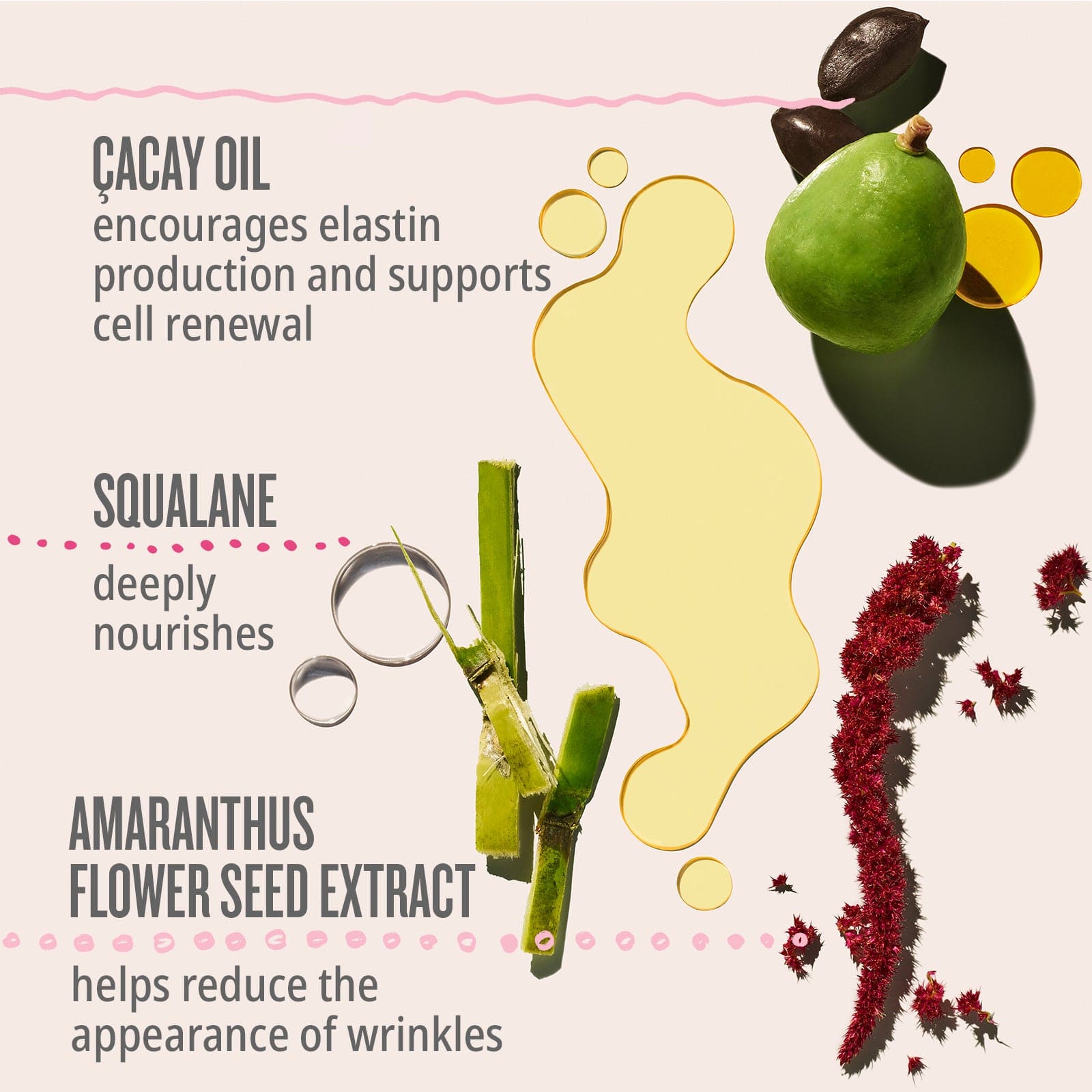 Cacay oil encourages elastin production and supports cell renewal. Squalane deeply nourishes. Amaranthus flower seed extract helps reduce the appearance of wrinkles