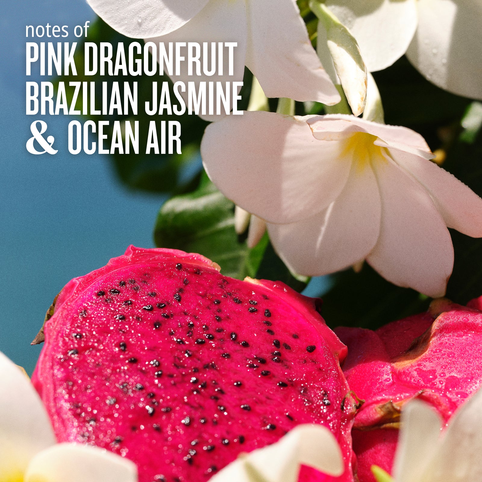 Notes of pink dragonfruit, Brazilian jasmine &amp; ocean air