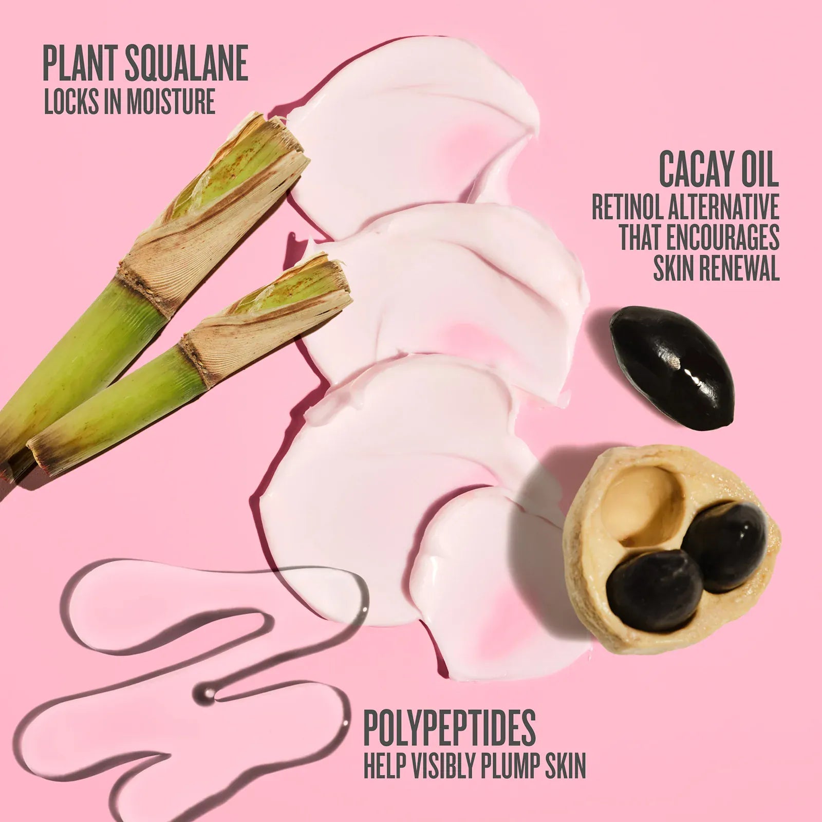plant squalane locks in moisture. polypeptides help visibly plump skin. cacay oil retinol alternatives that encourages skin renewal 