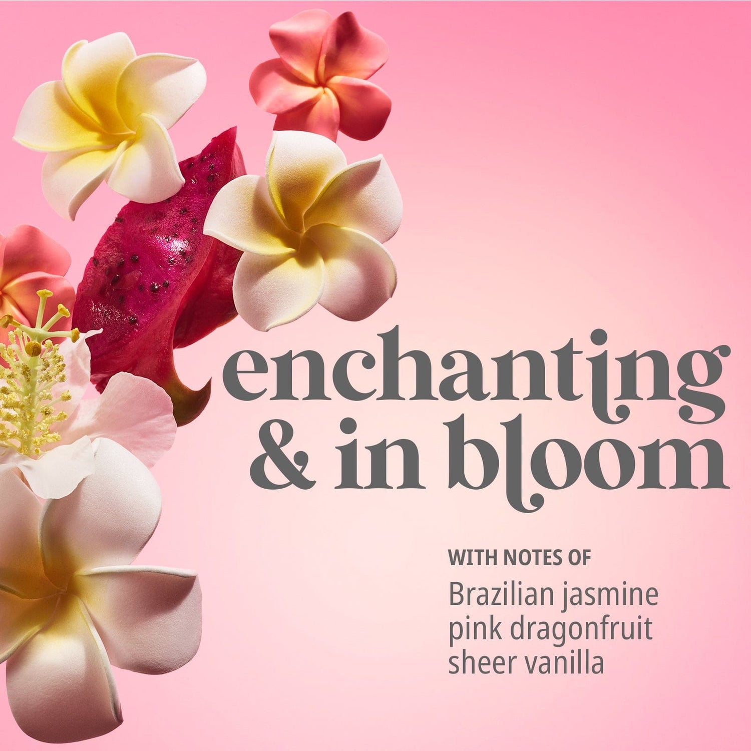 Blooming &amp; bright with notes of Brazilian jasmine, pink dragonfruit, sheer vanilla