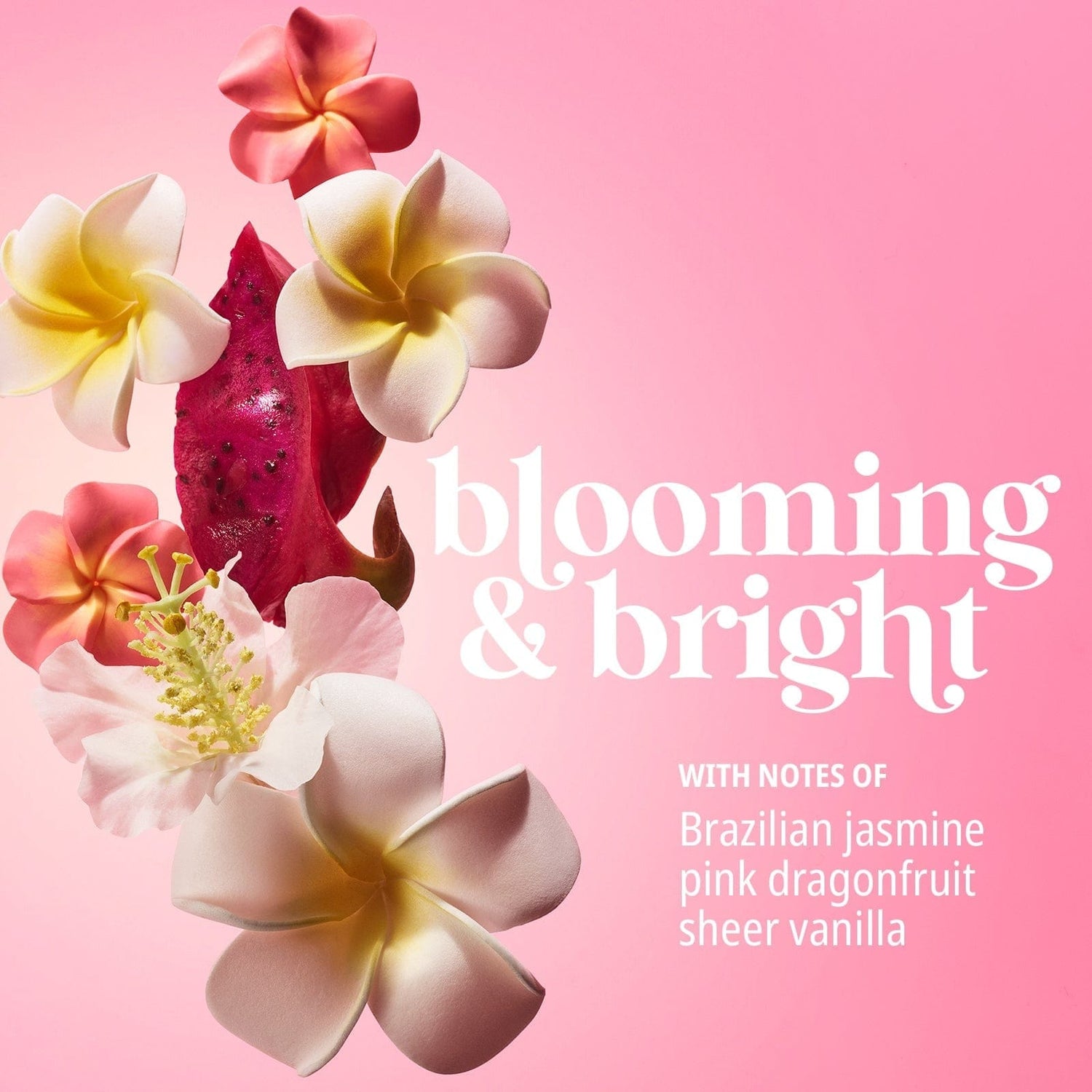 Blooming &amp; bright with notes of Brazilian jasmine, pink dragonfruit, sheer vanilla