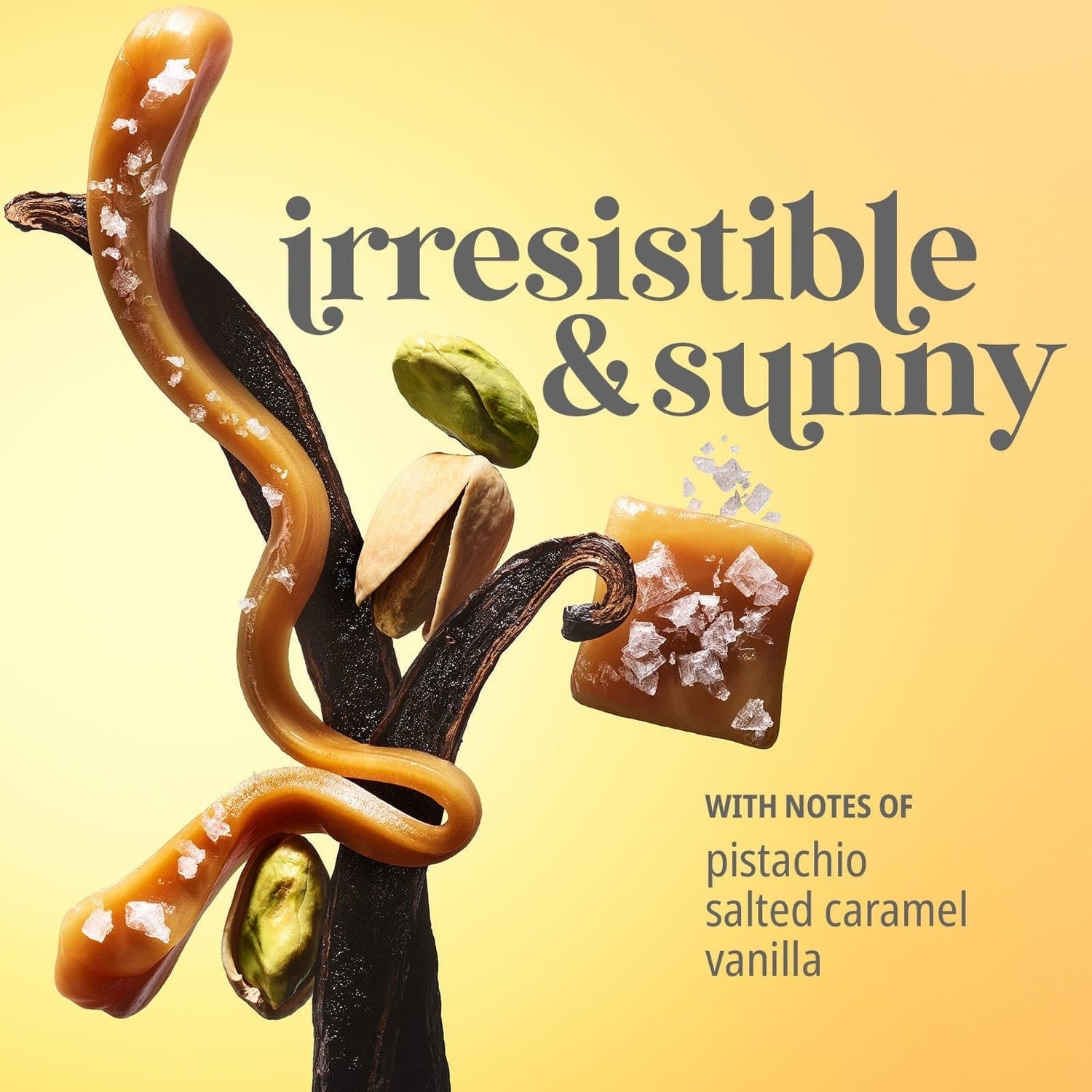 Irresistible &amp; sunny, with notes of pistachio, salted caramel and vanilla