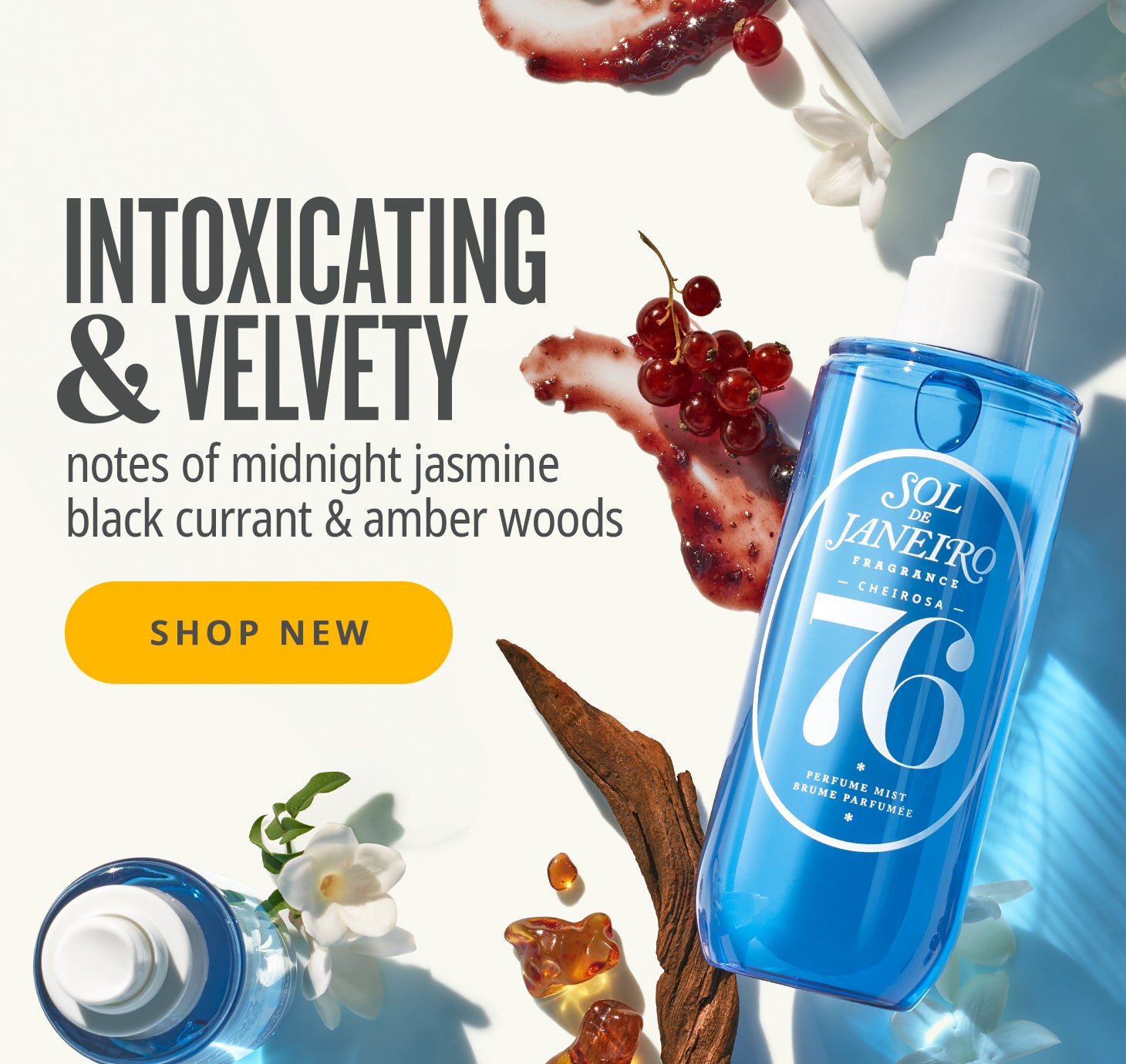 Intoxicating & velvety - notes of midnight jasmine, black currant & amber woods - shop now! 