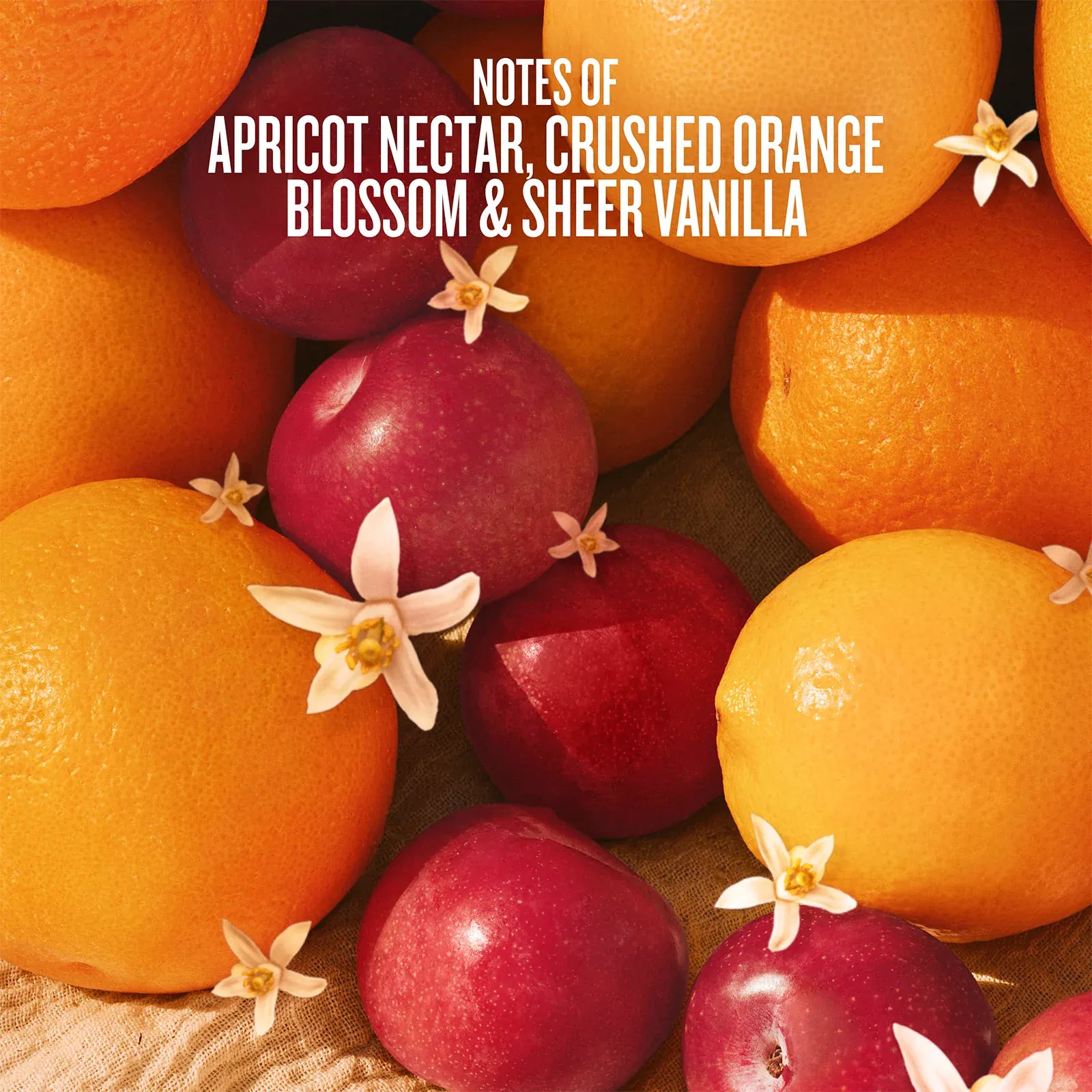 notes of apricot nectar, crushed orange blossom and sheer vanilla