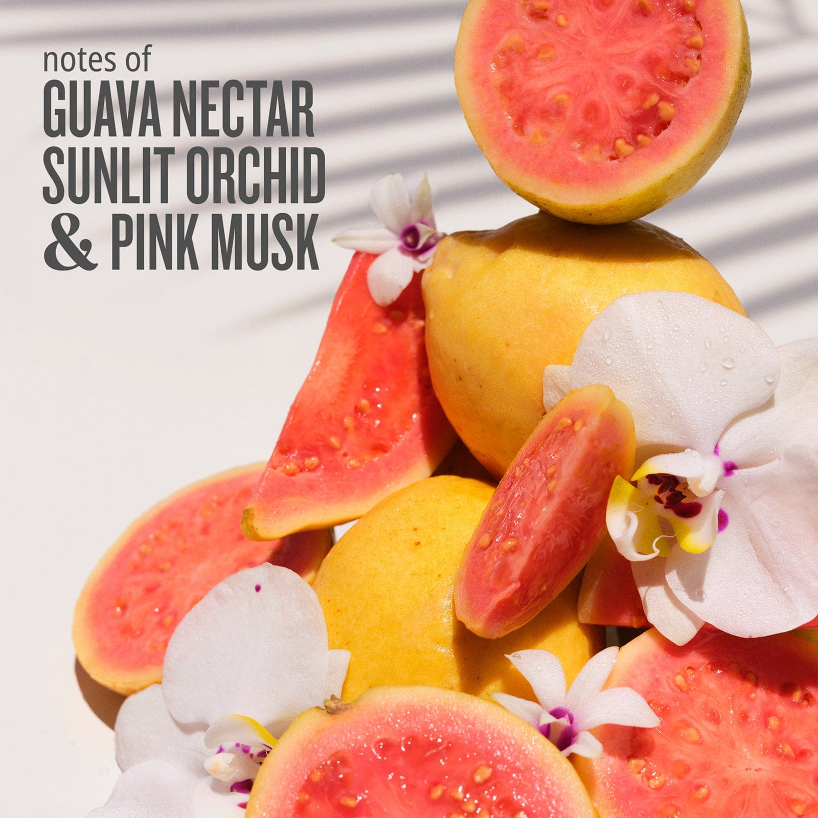 Notes of guava nectar sunlit orchid &amp; pink musk