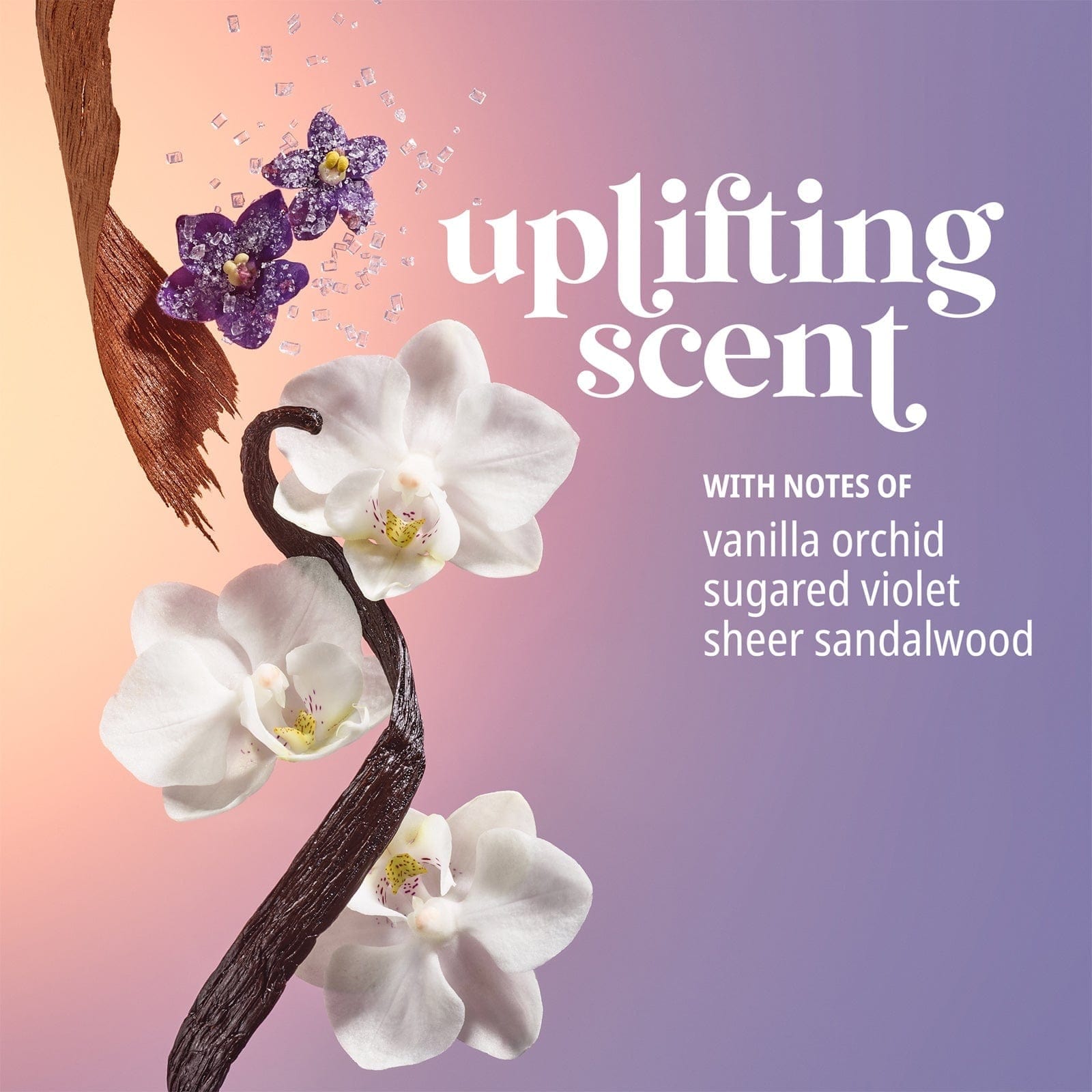 Uplifting scent with notes of vanilla orchid, sugared violet, sheer sandalwood