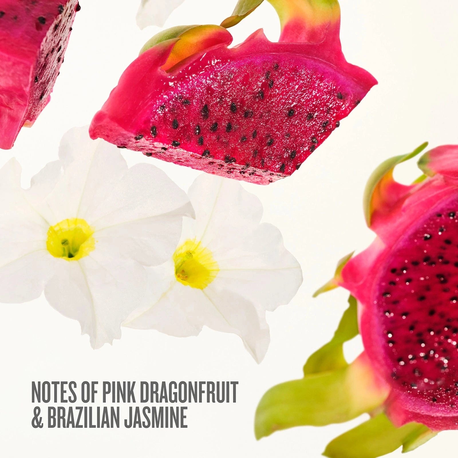 Make It a Party Beija Flor™ Body Routine