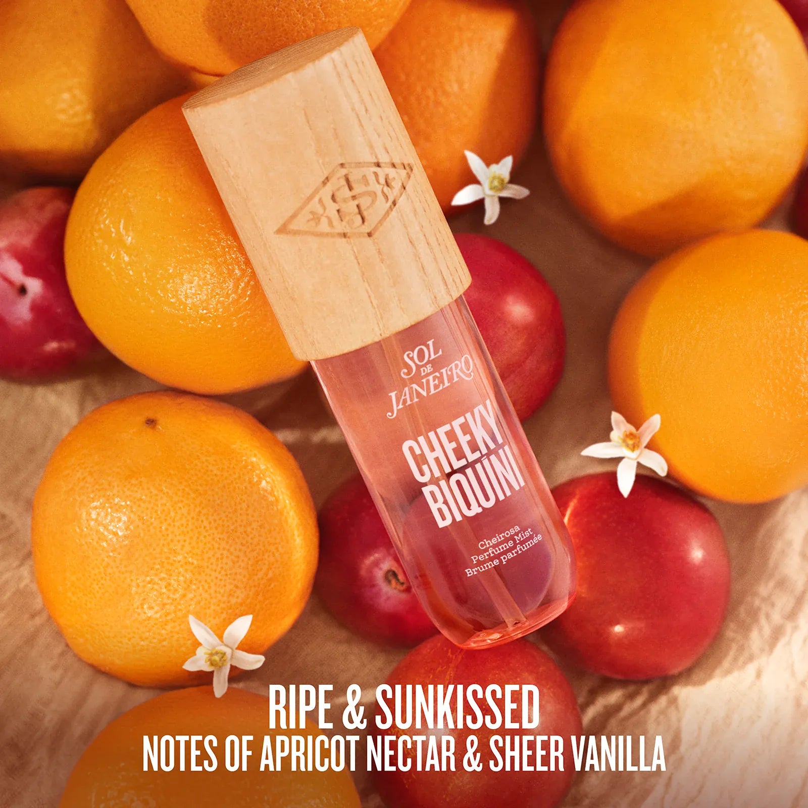 The Destination Drop | Limited Edition Perfume Mist