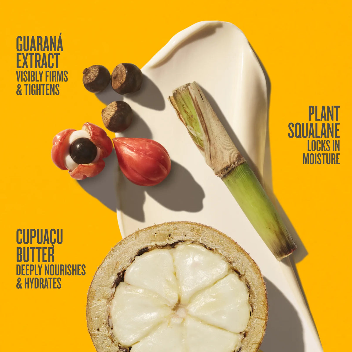 A styled flat-lay of skincare ingredients on a bright yellow background: a sliced cupuacu fruit, guarana seeds, a cut guarana pod, a green stem, and a cream-colored spatula with text callouts about guarana extract, cupuacu butter, and plant squalane.