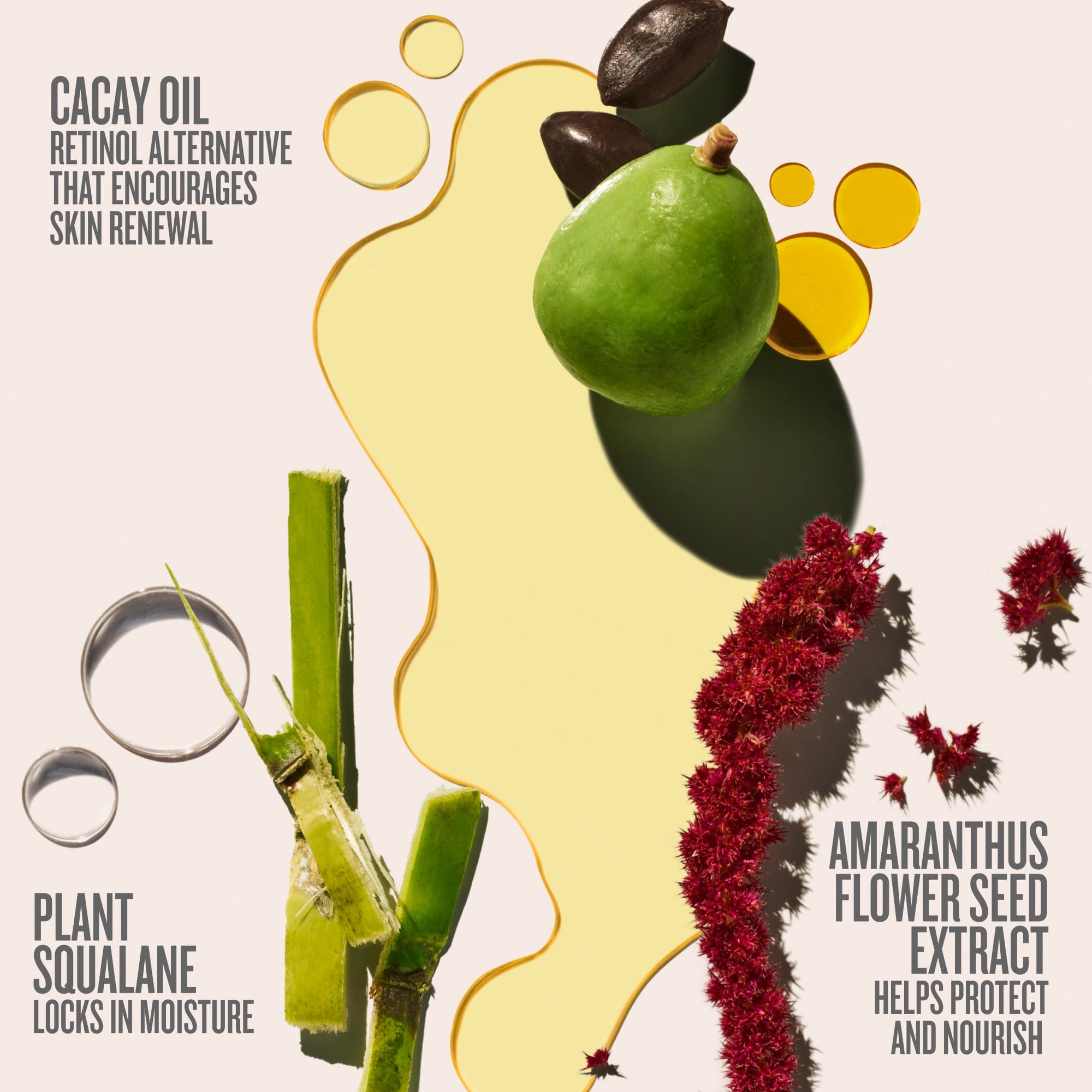 Beija Flor™ Elasti-Body Oil | Sol de Janeiro