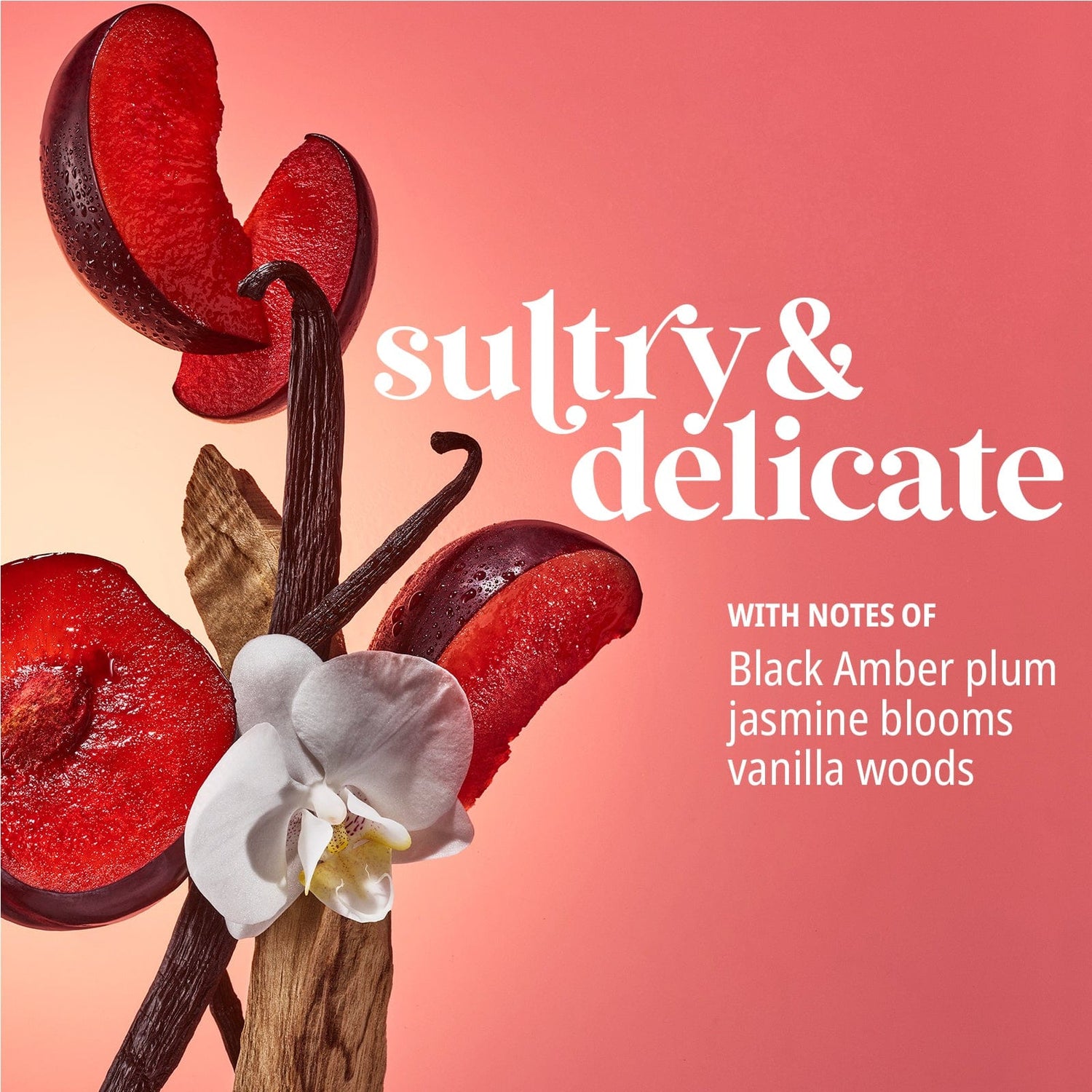 Sultry &amp; delicate with notes of black amber plum, jasmine blooms, vanilla woods