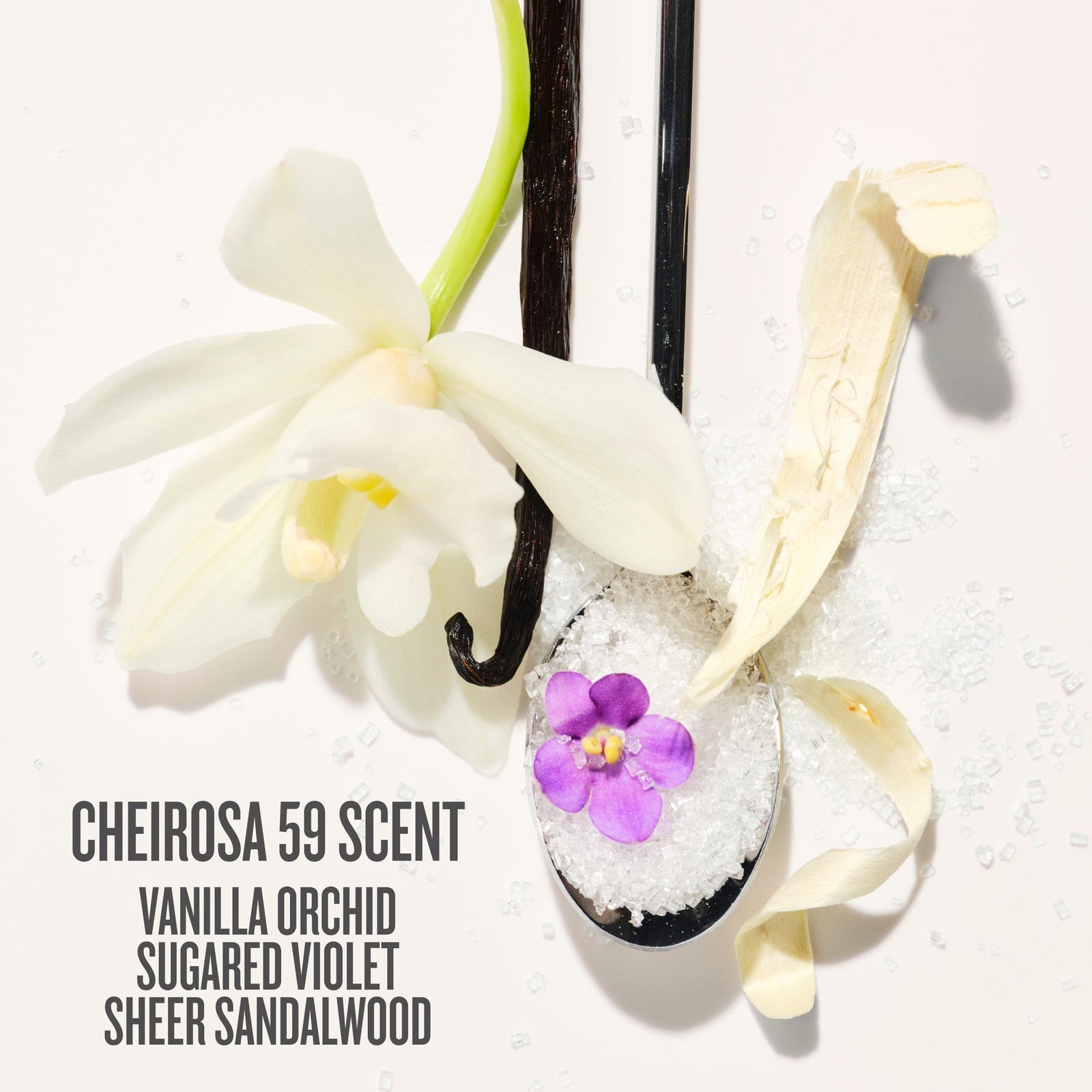 cherosa 59 scent vanilla orchid sugared violet sheer sandalwood