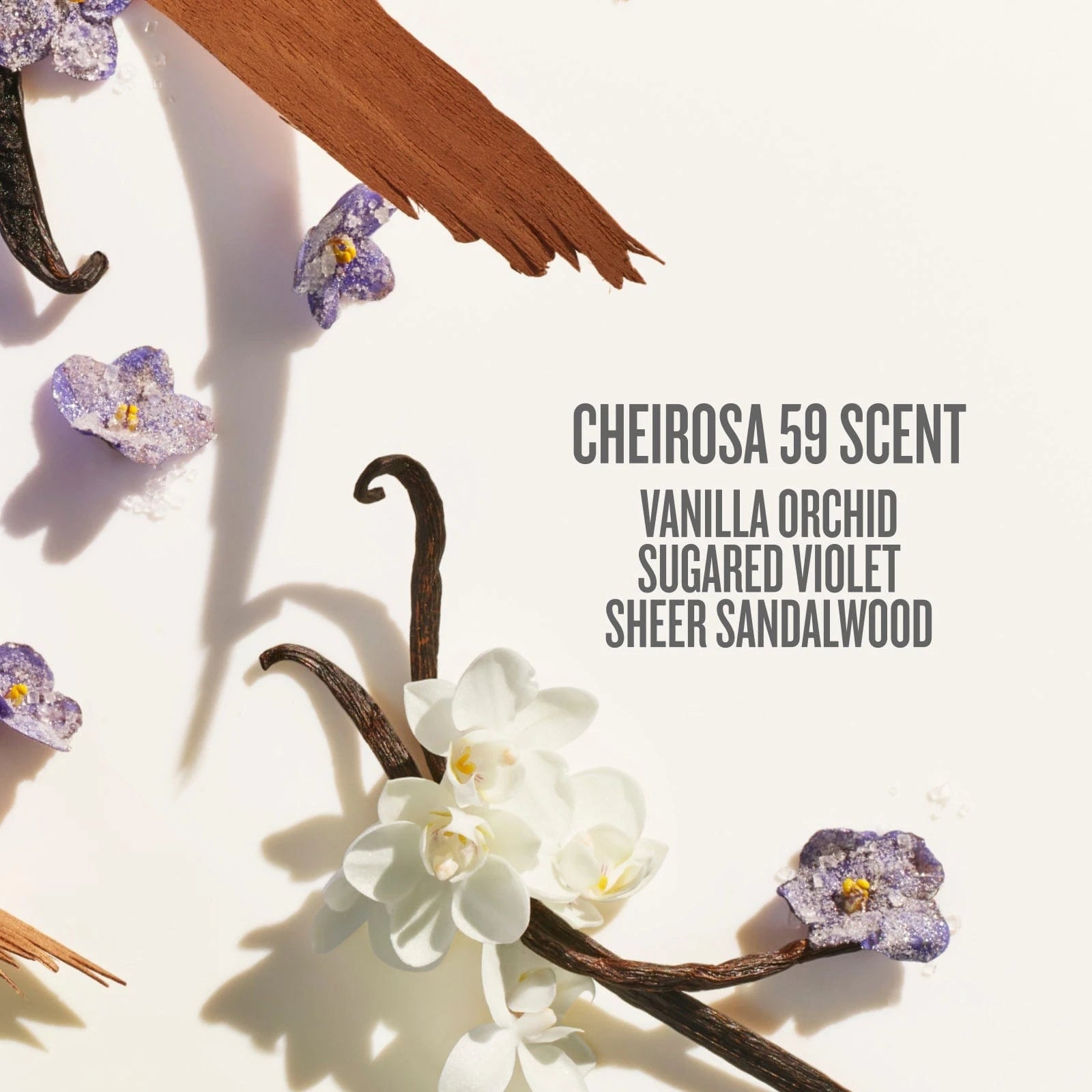 cheirosa 59 scent vanilla orchid, sugared violet, sheer sandalwood