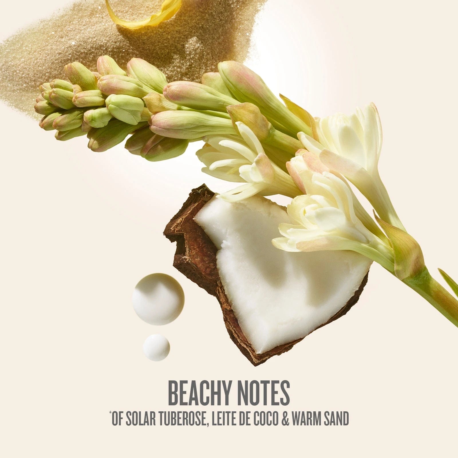 Sol de janeiro SPF 50 body spray scent notes. Beachy Notes of solar tuberose, leite de coco & warm sand