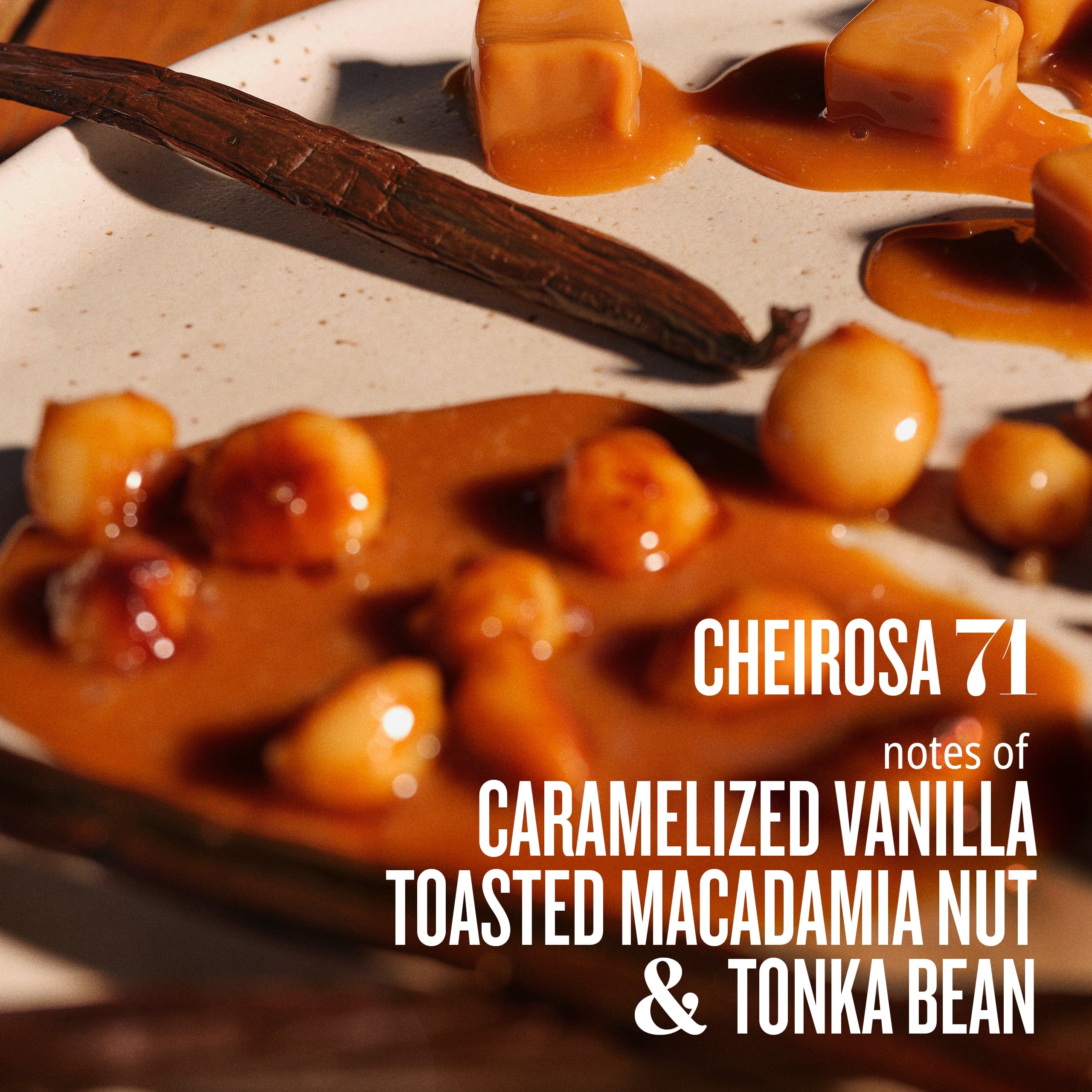 cheirosa 71 notes of caramelized vanilla toasted macadamia nut &amp; tonka bean