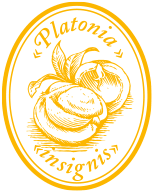 Бразильское масло бакури и масло из семян манго